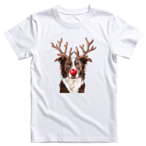 Border Collie Christmas tee (Mens, Ladies and Kids)