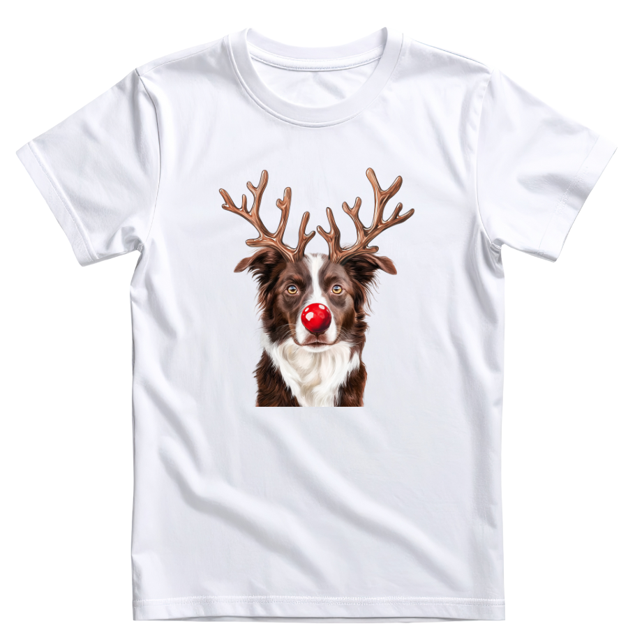 Border Collie Christmas tee (Mens, Ladies and Kids)